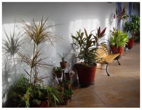 Suitel 522 Eco Hostel Mazatlán Exteriér fotografie