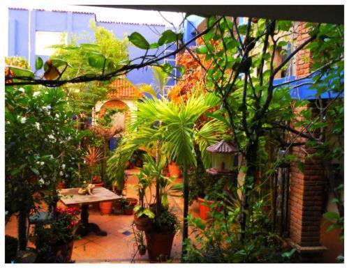 Suitel 522 Eco Hostel Mazatlán Exteriér fotografie